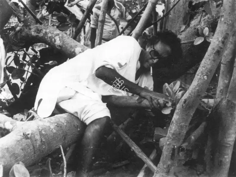 Sen, Mrinal (Director), Parashuram, 1979 | Working Still | CinemaEducation | 00553901