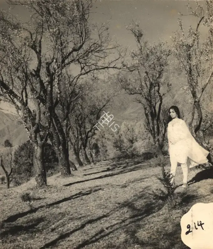 G. Singh (Cinematographer), Arzoo, 1965, Photographic Still