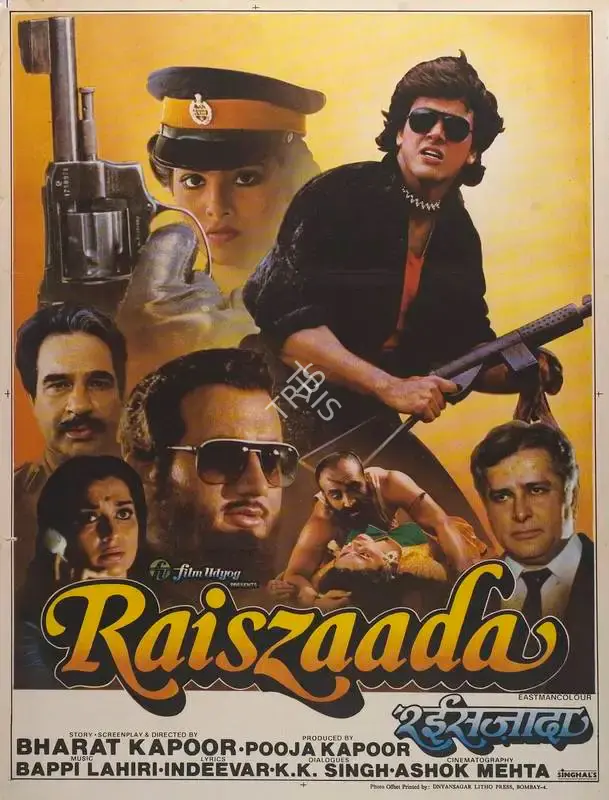 Pooja Kapoor (Producer), Raiszaada, 1990, Full Sheet Poster