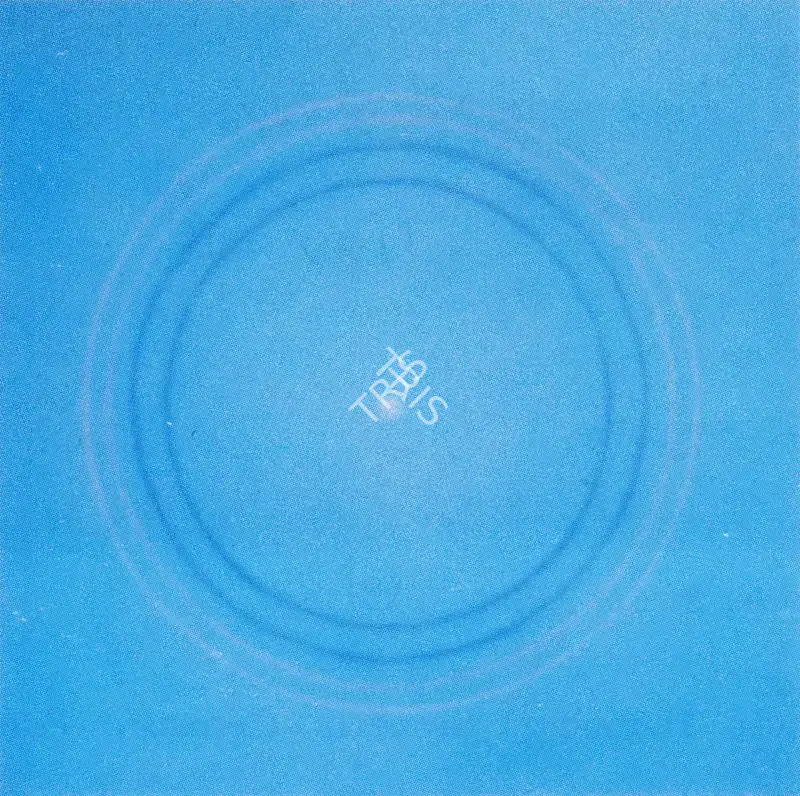 Shobha Broota (Artist), Origin 46, 1990, Painting