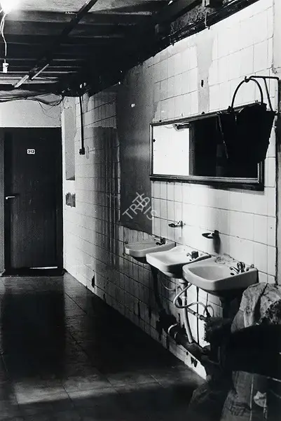 Anita Dube (Artist), Untitled, 2006, Print
