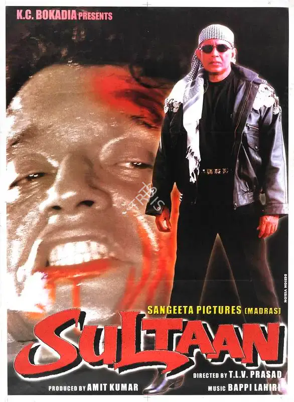 Amit Kumar (Producer), Sultaan, 2000, Full Sheet Poster