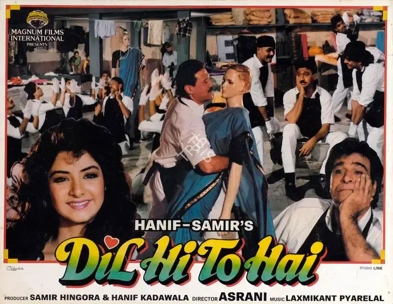 Samir Hingora (Producer), Dil Hi To Hai, 1993, Lobby Card