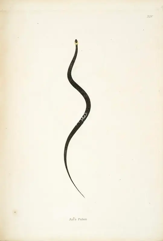 William Skelton (Engraver), Jara Potoo, 1796, Engraving