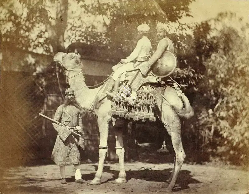 Eugene Clutterbuck Impey (Photographer), Riding Camel with trappings. The figure on foot is a Rajpoot Thakoor, 1861, Antiquarian Photograph