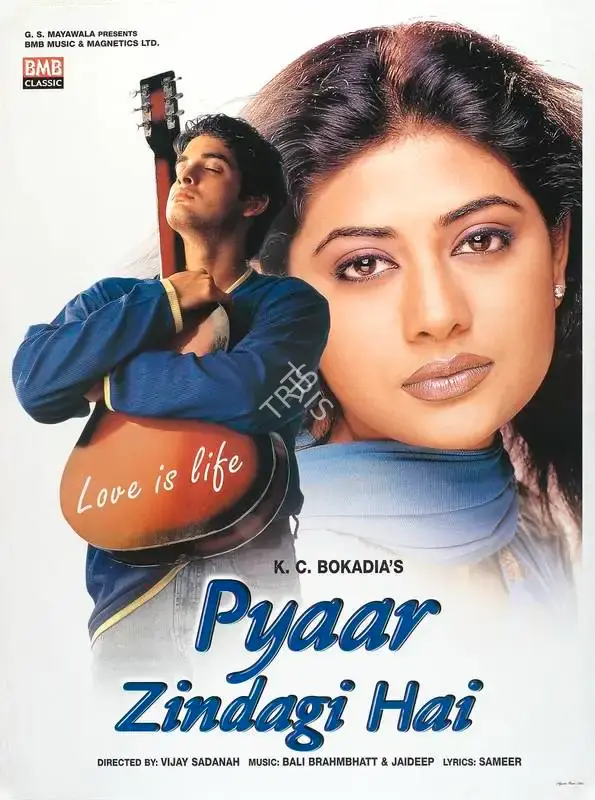 K.C. Bokadia (Producer), Pyaar Zindagi Hai, 2001, Full Sheet Poster