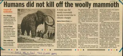 Humans did not kill off the woolly Mammoth, 2006, Newspaper Clipping