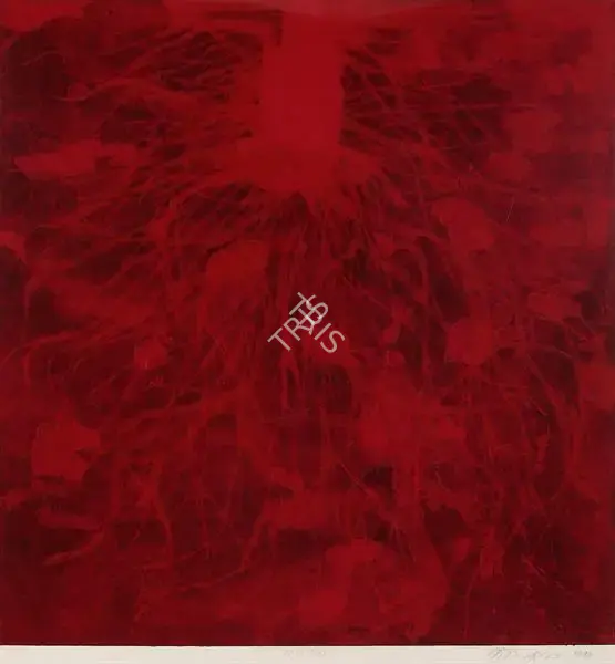 Anish Kapoor (Artist), Untitled 11, 1990, Graphic Art