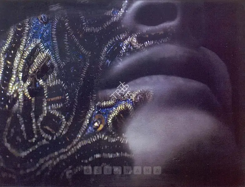 Vidya Kamat (Artist), Birth Mark Series, 2007, Print