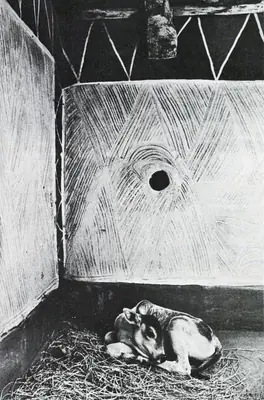 Jyoti Bhatt (Photographer), Village Cowshed, Madhya Pradesh, 1983, Contemporary Photograph