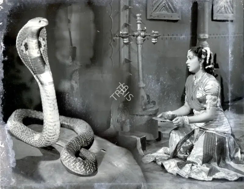 Raman B. Desai (Director), Naag Panchami, 1953, Photographic Still