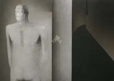 Rameshwar Broota (Artist), Man XII, 1979, Painting