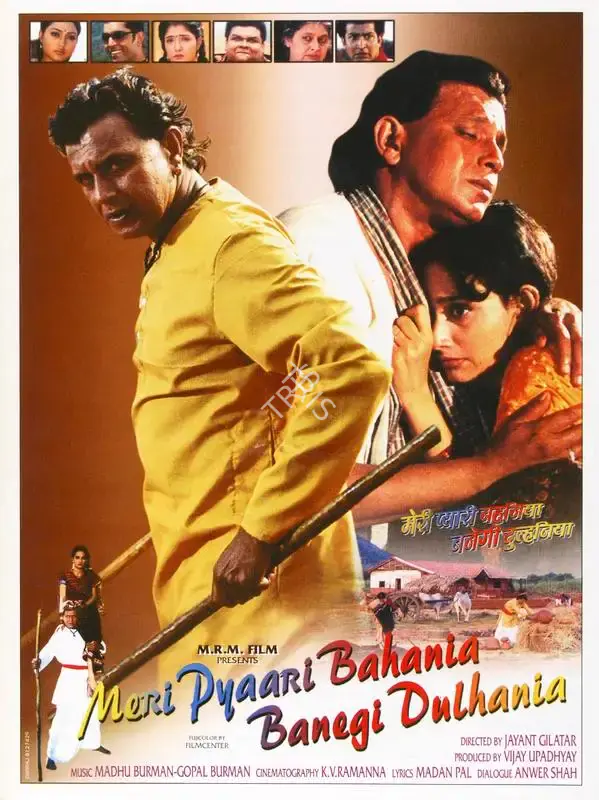 Vijay Upadhyay (Producer), Meri Pyaari Bahania Banegi Dulhania, 2001, Song-Synopsis Booklet