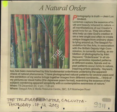A Natural Order, 2003, Newspaper Clipping