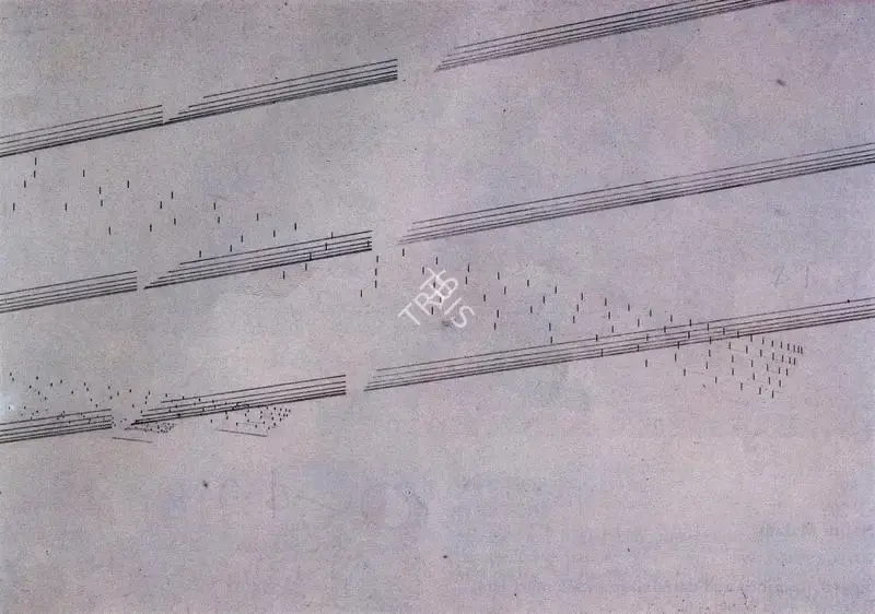 Nasreen Mohamedi (Artist), Lines, Drawing