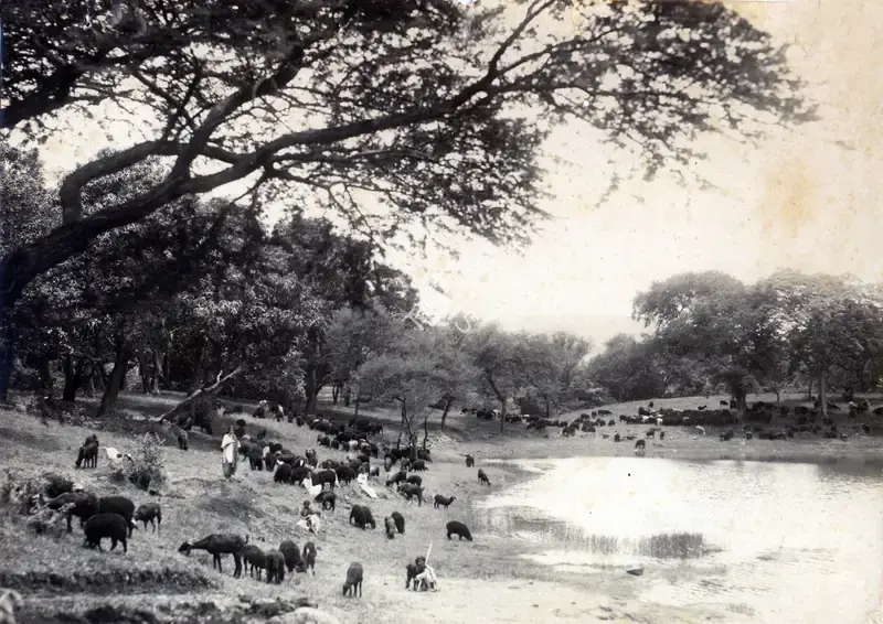Madanrai Vakil (Director), Noor E Iman, 1933, Photographic Still