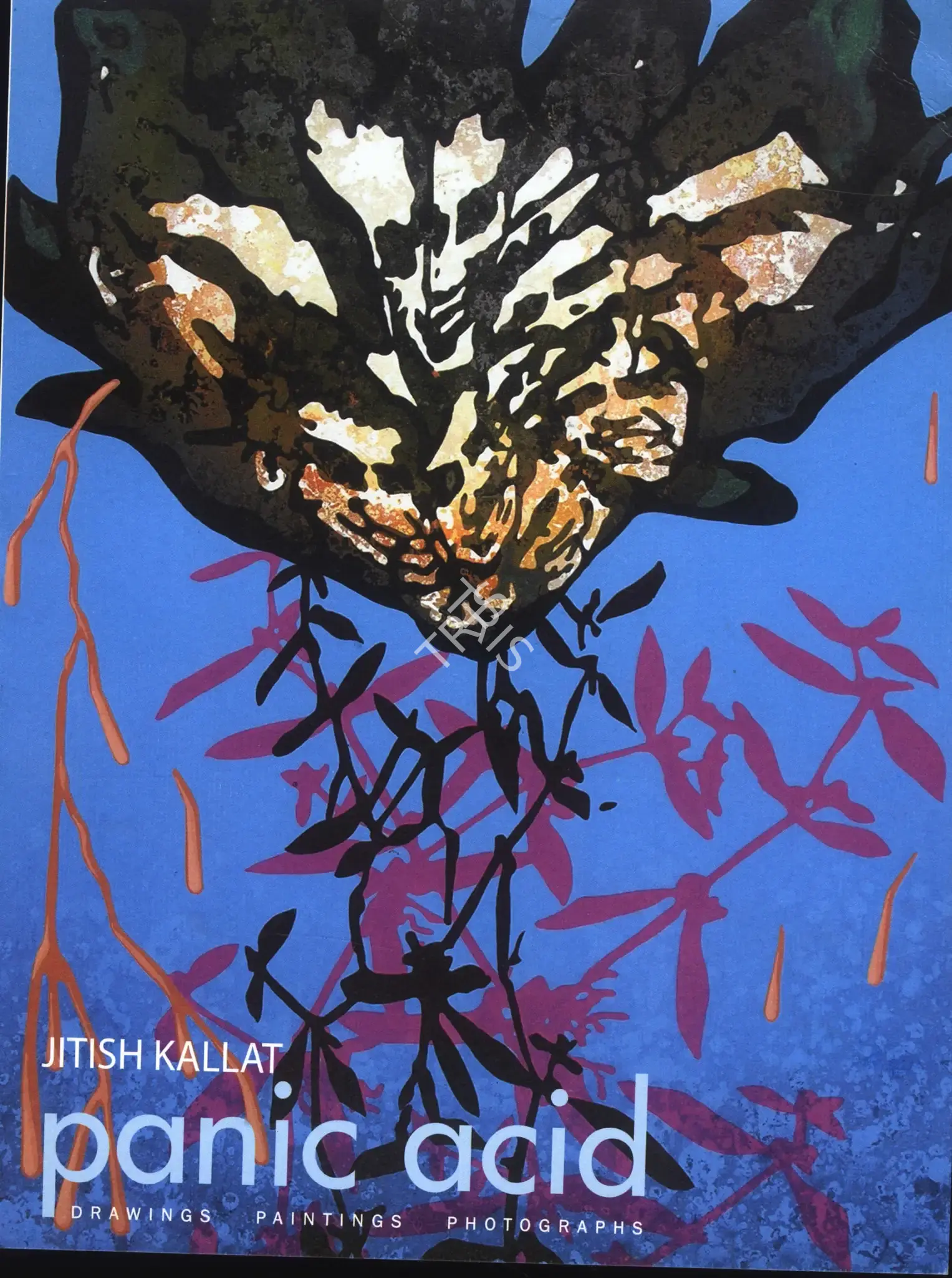 Jitish Kallat (Artist), Panic Acid, 2005, Solo Exhibition Invitation