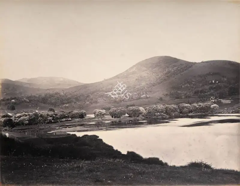 Edmund David Lyon (Photographer), View of Elk Hill, Willow Bund & Slodabetta (Ootacamund), Antiquarian Photograph