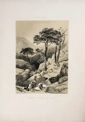J.D. Hardinge (Lithographer), Oodampore, 1847, Lithograph
