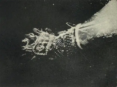 V.K. Murthy (Cinematographer), Sahib Bibi Aur Ghulam, 1962, Photographic Still
