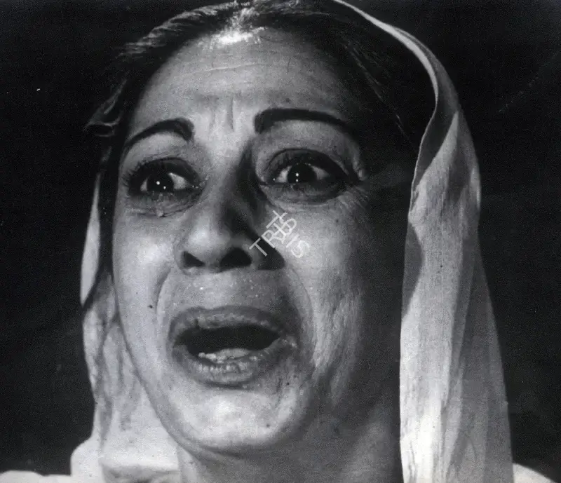 Hari Malik (Producer), Bahadur Dakoo, 1966, Photographic Still