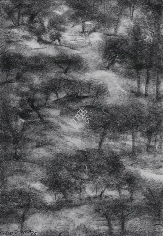 Paramjit Singh (Artist), Untitled, 2005, Drawing
