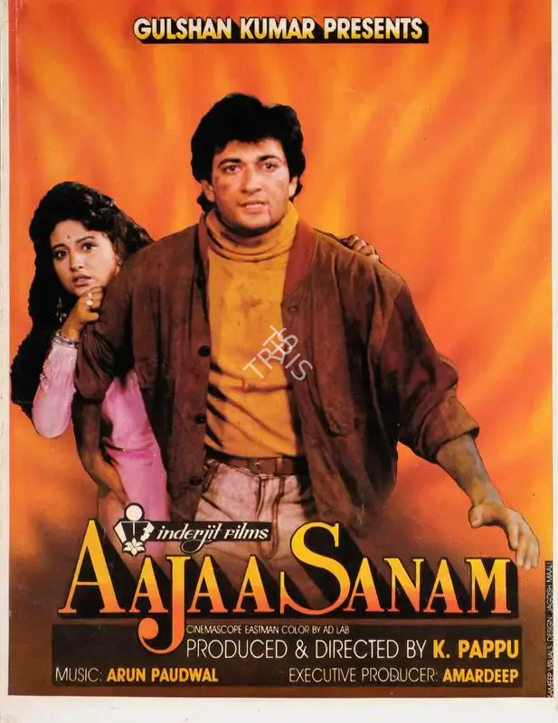 K. Pappu (Producer), Aajaa Sanam, 1994, Song-Synopsis Booklet