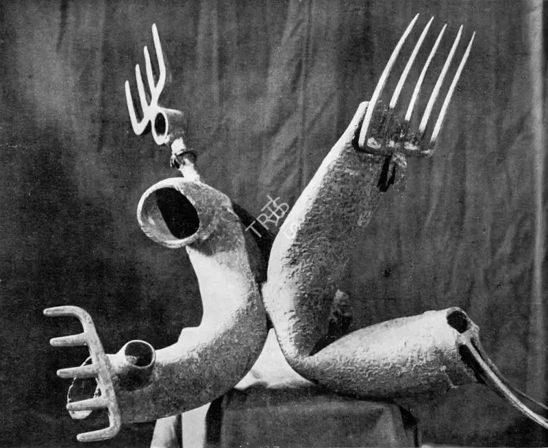 Raghav Kaneria (Artist), Cactus, 1962, Relief Work