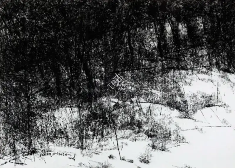 Paramjit Singh (Artist), Untitled, 2004, Drawing