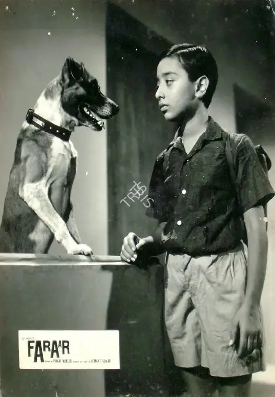 Hemanta Mukherjee (Producer), Faraar, 1965, Lobby Card