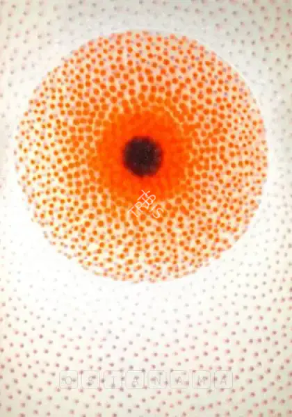 Shobha Broota (Artist), Untitled, 1989, Painting