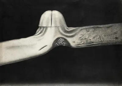 Rameshwar Broota (Artist), Metamorphosis - II, 1984, Painting