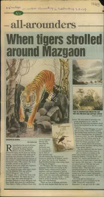 Hassan M. Kamal (Reporter), When Tigers Strolled Around Mazgaon, 2009, Newspaper Clipping