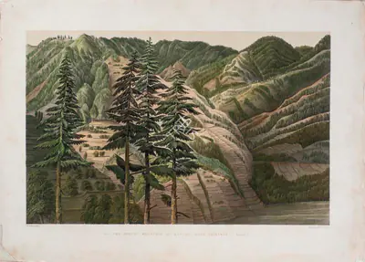 W.L. Walton (Lithographer), The Forest  of Huttoo, near Nagkanda - Sunset, 1852, Lithograph
