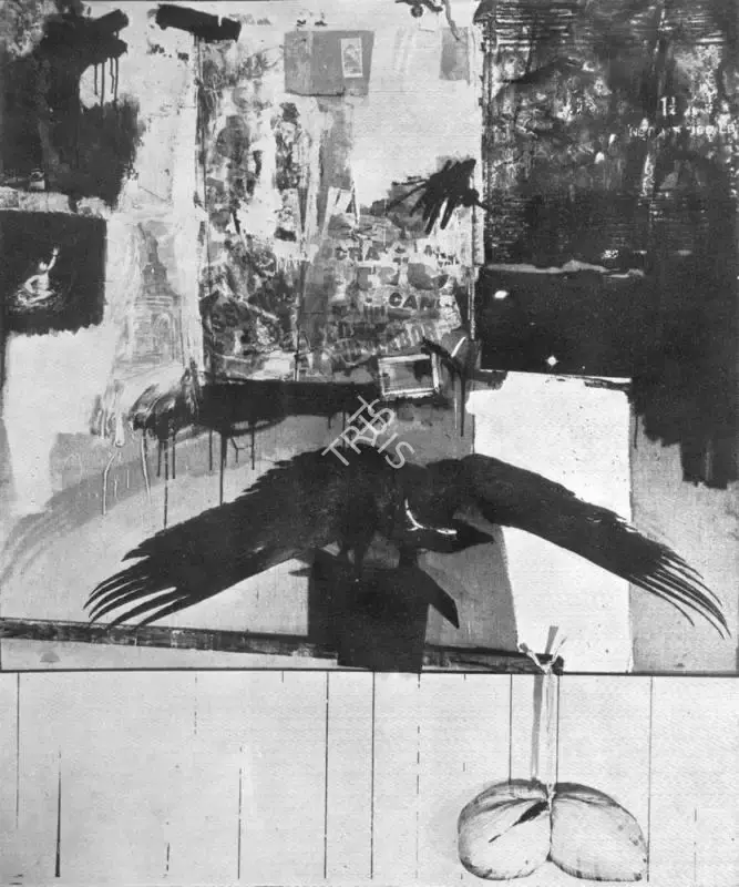 Robert Rauschenberg (Artist), Canyon, 1959, Painting