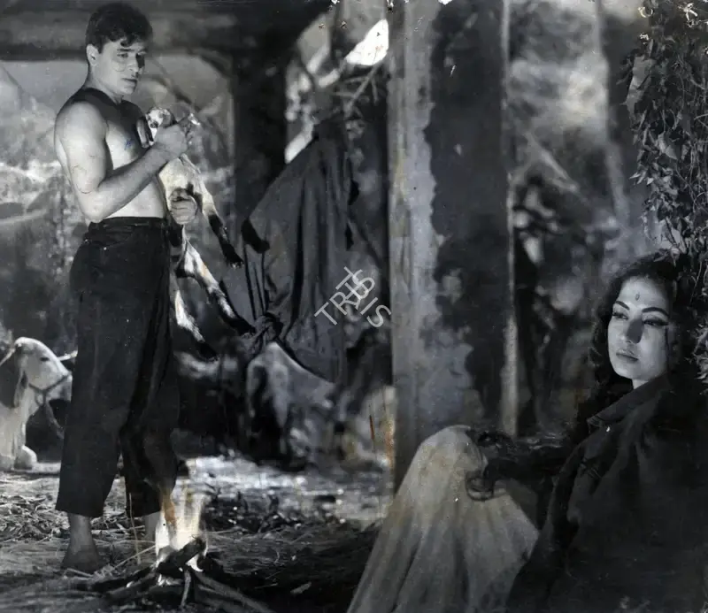 A. Vincent (Cinematographer), Dil Ek Mandir, 1963, Photographic Still