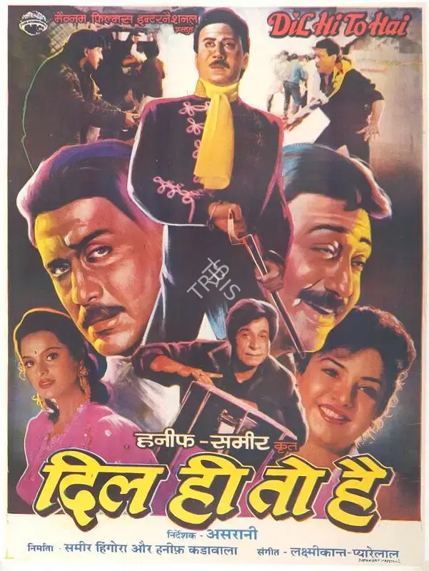 Samir Hingora (Producer), Dil Hi To Hai, 1993, Full Sheet Poster