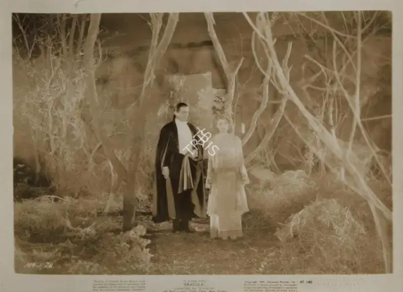 Karl Freund (Cinematographer), Dracula, 1931, Photographic Still