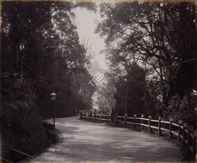 Unknown (Photographer), The Mall looking towards Woodlands. - Darjiling (Darjeeling), 1901, Antiquarian Photograph