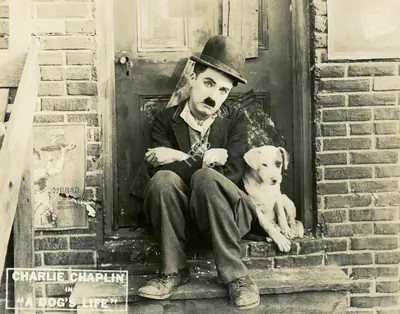 Totheroh, Roland (Cinematographer), A Dog's Life, 1918 | Lobby Card | CinemaEducation | 00794970