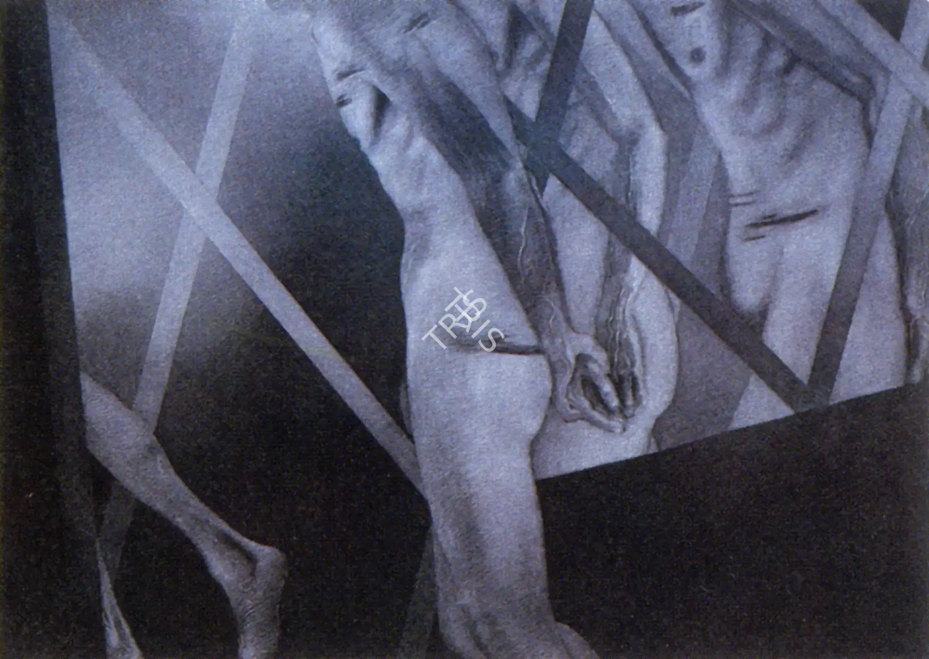 Broota, Rameshwar (Artist). Captive, n.d. | Painting, So.Bom/26.03.89