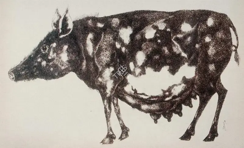 Gopal Sanyal (Artist), Pig, 1974, Painting