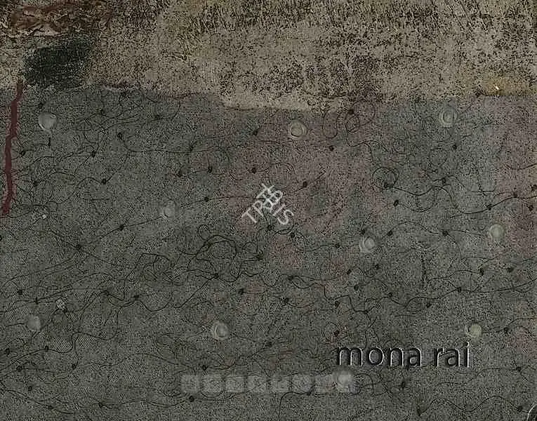Mona Rai (Artist), Path to Gold Mine, 2007, Solo Exhibition Catalogue