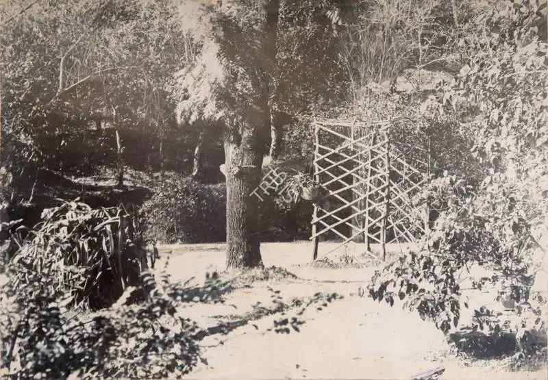 Unknown (Photographer), Shadyside. Rebuilt after earthquake 1905, 1900, Antiquarian Photograph