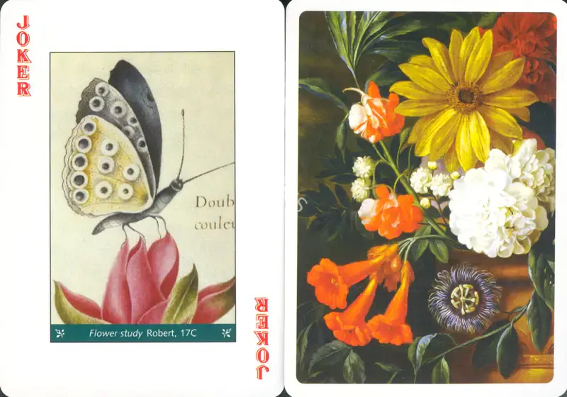 Genius of Nature, 2003, Playing Cards