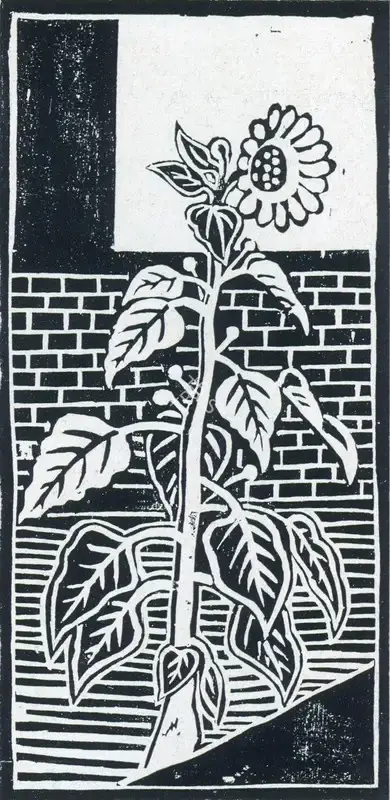 Kamala Mittal (Artist), Sunflower, Graphic Art