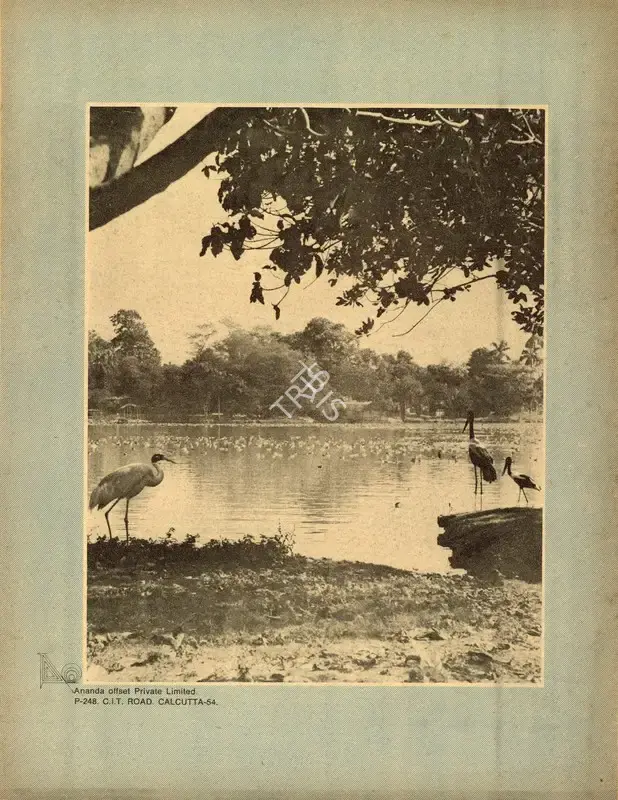 Aveek Sarkar (Editor), Sunday, 1974, Magazine