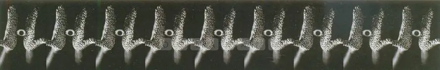Anita Dube (Artist), Remembering Eklavya, 2002, Print