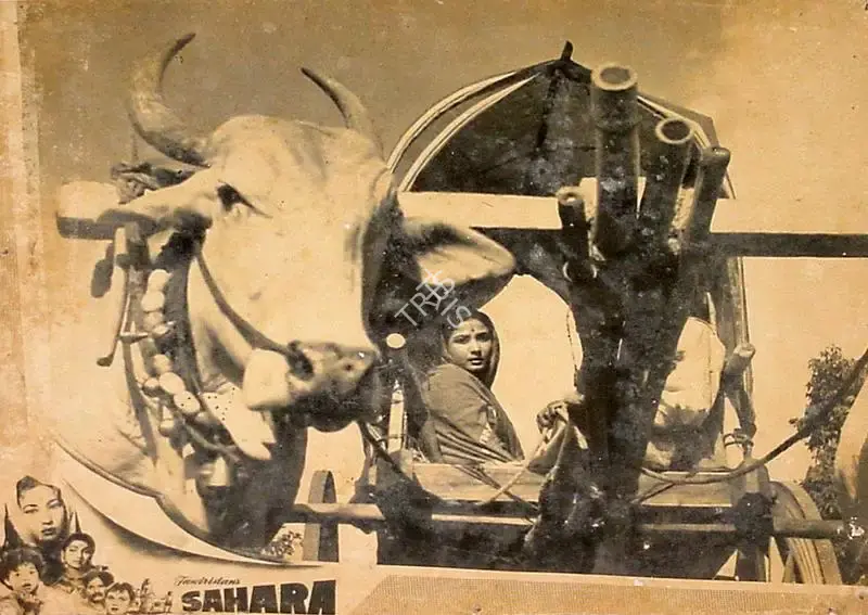 Ranjodh Thakur (Cinematographer), Sahara, 1958, Lobby Card