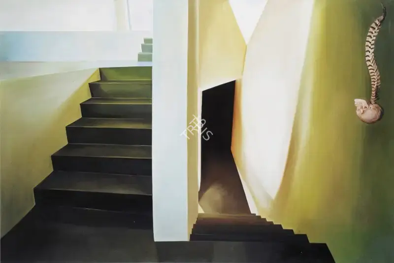 Sudarshan Shetty (Artist), Untitled, 2006, Painting